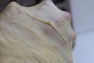 面团柔韧能撑开薄膜即可。