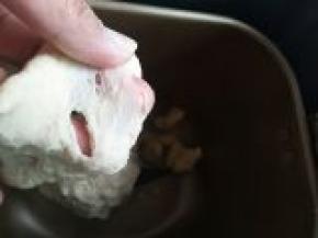 启动一个揉面程序，能拉出厚膜，加入软化的黄油