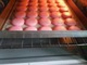 基本上烤4-6分钟就会出现裙边