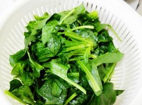 菠菜去根洗净