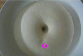 用打湿的屉布盖在揉好的面团上，放温暖处发酵至两倍大；