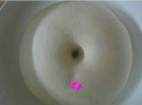 用打湿的屉布盖在揉好的面团上，放温暖处发酵至两倍大；