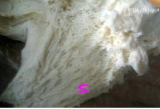 面团内部呈蜂窝状时发酵完成。