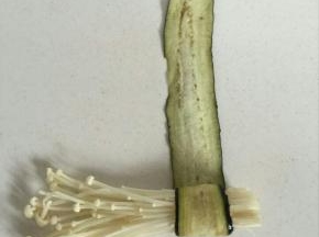 取适量的金针菇放在茄子片的一端，慢慢的卷起来，卷紧实！