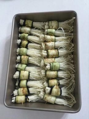 把卷好的茄子金针菇卷整齐地摆放在烤盘上！用刷子在表面刷一层油！