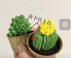 仙人球用4裱花嘴，浅绿色奶油霜从下往上轻轻拉出条纹，全部拉满，用1裱花嘴黄色奶油霜，螺旋一片一片裱出小花，2裱花嘴用深绿色奶油霜，一点一点裱出肉肉，按下裱花嘴，收尾的时候特意拉一下