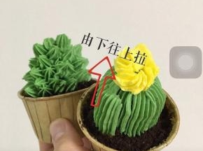 仙人球用4裱花嘴，浅绿色奶油霜从下往上轻轻拉出条纹，全部拉满，用1裱花嘴黄色奶油霜，螺旋一片一片裱出小花，2裱花嘴用深绿色奶油霜，一点一点裱出肉肉，按下裱花嘴，收尾的时候特意拉一下