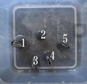 仙人球用图上所示4号裱花嘴，2、3用来裱肉肉，1、5用来裱仙人球上的小花