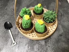 按以上步骤方法全部裱好仙人球和肉肉，放冰箱冷藏后口感更佳哦