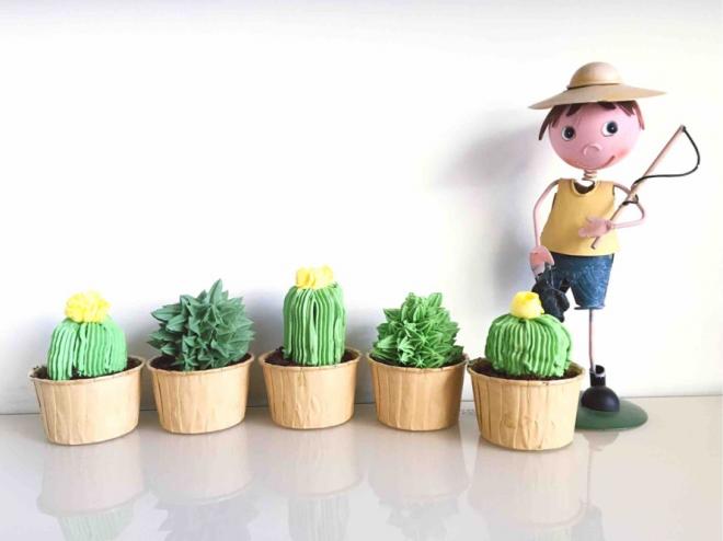 多肉盆栽杯子蛋糕