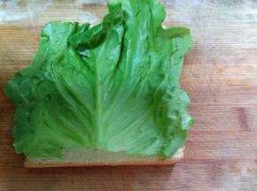 把面包片放在最下面，面包片上放生菜。（生菜是去根留叶）