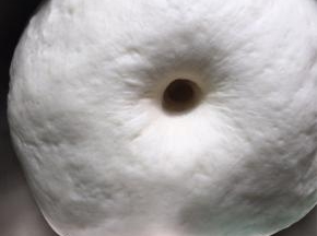 把所有材料除红曲粉和豆沙外，揉成光滑的面团，盖上保鲜膜发酵至二倍大