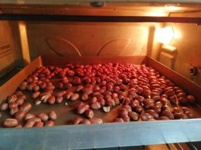 花生放烤箱中层150℃烤10-15分钟，听到砰砰声差不多熟了