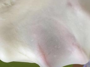 揉成这样有薄膜就可以了