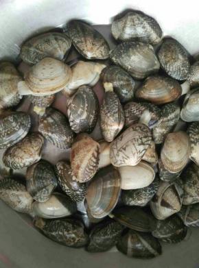 蚬子吐沙完毕后，洗净淋干水分