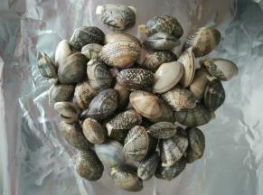 把蚬子放在适当大小的锡纸上