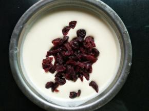 冻1-2个小时左右，把蔓越莓加入，随意搅拌几下，继续放回冷冻，直到冻硬