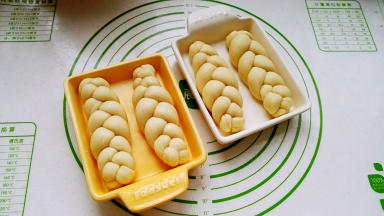 放烤盘中，把烤盘放入烤箱发酵（不开电源，利用密闭环境发酵，防止干皮）。