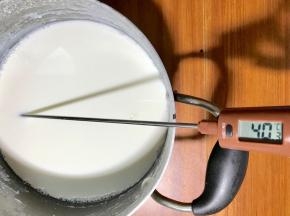 煮完离火，晾至温度40度左右。