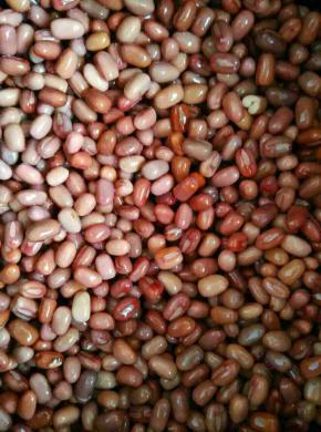 红小豆洗净浸泡12个小时以上，最后晚上泡第二天做，不耽误时间