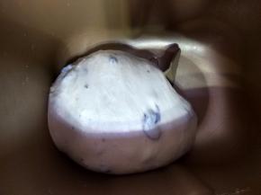 揉圆，进行一次发酵