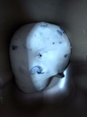 发酵至1.5-2倍大