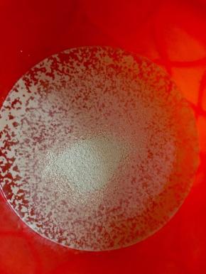 将酵母放入温开水中，搅拌均匀并融入水中