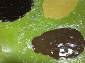 面团分为三份，其中两份比较小，另一份较大，较大的面团加入1g可可粉，轻轻地揉均匀，再取一份小面团加入剩下的4g可可粉，同样轻揉均匀，擀成2枚硬币厚度的面片，用保鲜膜包起来放冰箱冷藏20分钟