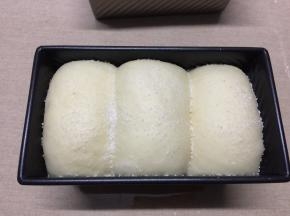 盖保鲜膜送进烤箱进行发酵，60分钟至9分，取出后表面撒椰蓉