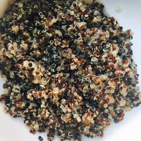 藜麦淘洗后清水泡半小时，然后煮15分钟，煮出小芽儿了熟了即可；鹰嘴豆要提前一夜泡，泡了之后早上起来也是煮15分钟，捞出，备用