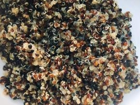 藜麦淘洗后清水泡半小时，然后煮15分钟，煮出小芽儿了熟了即可；鹰嘴豆要提前一夜泡，泡了之后早上起来也是煮15分钟，捞出，备用