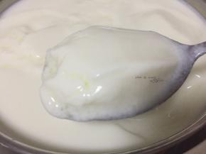 一夜以后酸奶就做好了