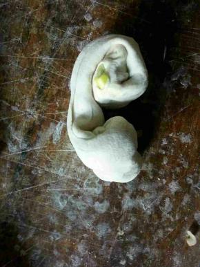 拿起一段面卷，两头捏紧，拉长，然后再从两头卷起，如图