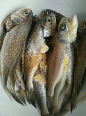 小黄花鱼去除内脏洗净淋干水分，加入料酒，盐，十三香搅拌均匀腌制十五分钟