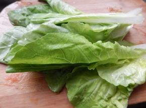 小白菜清洗干净切好