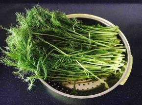 茴香，摘去老梗，清洗干净，沥干水分。