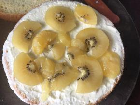 放入切片的奇异果