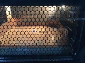 15. 烤箱最低层，温度为上火150度下火120度18分钟