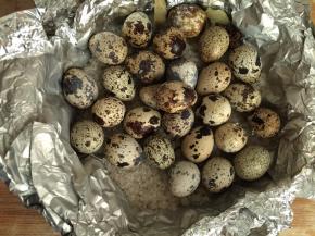 4. 炒好的海盐先把一部分码在锡纸上，再把鹌鹑蛋放在海盐上