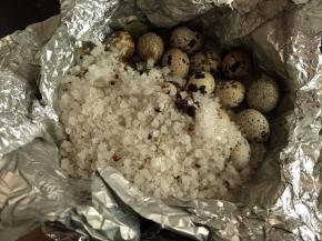 5. 再把剩余的盐全部都铺盖在鹌鹑蛋上