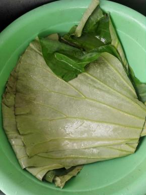 9、荷叶清洗干净用剪刀剪开，一大片可以剪5∽6小片，洗干净后用开水烫下就可以用了。