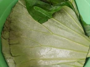 9、荷叶清洗干净用剪刀剪开，一大片可以剪5∽6小片，洗干净后用开水烫下就可以用了。
