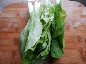 小白菜清洗干净