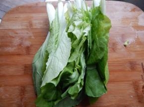 小白菜清洗干净