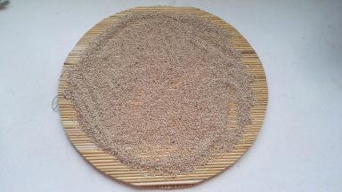 赶快倒在锅拍上（或案板上）扒开晾凉。