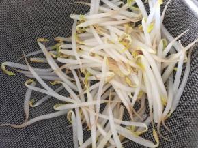 锅内倒入水，煮沸后放入豆芽，加少许盐调味，捞出