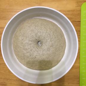 进行第一次发酵，可以使用烤箱发酵档，也可以室温，盖上湿毛巾发酵1小时