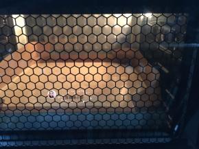 18. 送进烤盘中层上下火170度15—18分