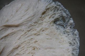 待面团是原来的二倍大时，掀起面团，底部的面团组织呈现纤细的拉丝状，并且有均匀的气孔时，发酵成功