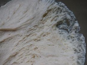 待面团是原来的二倍大时，掀起面团，底部的面团组织呈现纤细的拉丝状，并且有均匀的气孔时，发酵成功